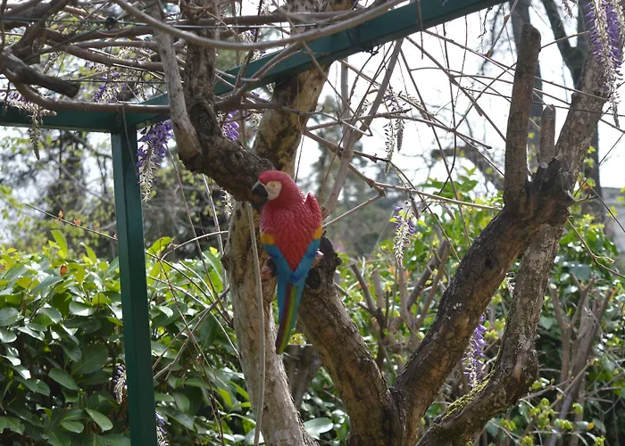 بيت ضيافة Il Giardino Nel Parco R&b بولونيا