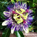 Il Giardino Nel Parco R&b Μπολόνια