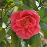 Il Giardino Nel Parco R&b Μπολόνια