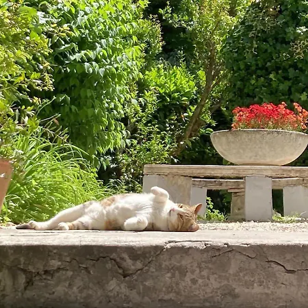 Il Giardino Nel Parco R&b Guest house 4*