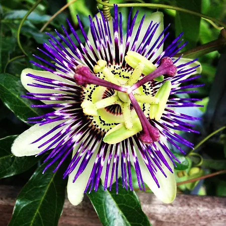 Il Giardino Nel Parco R&b Bologna