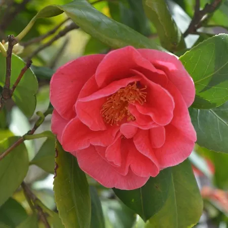 Il Giardino Nel Parco R&b Bolonya