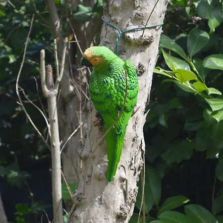 Il Giardino Nel Parco R&b Bologna