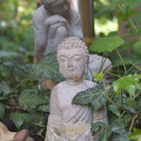 Il Giardino Nel Parco R&b Guest house Bologna