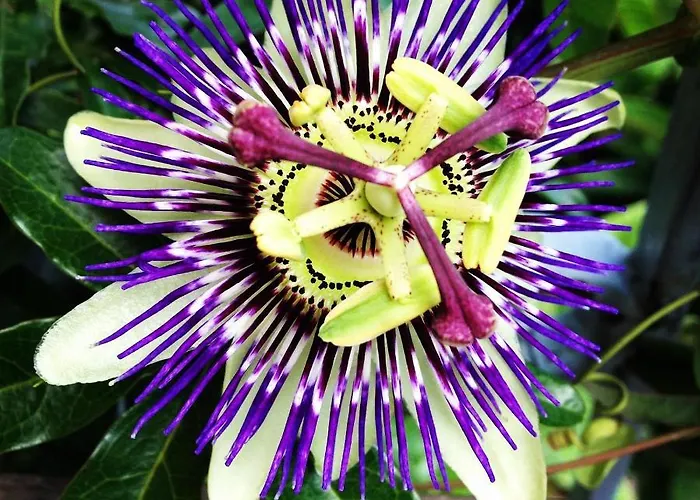 Il Giardino Nel Parco R&b 볼로냐