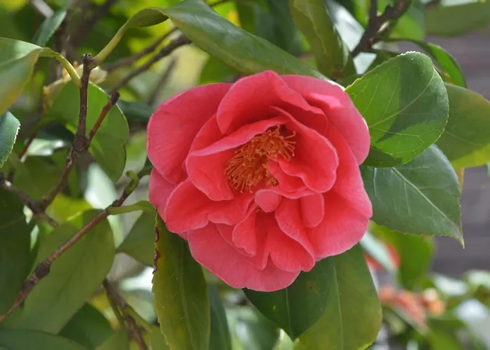 Il Giardino Nel Parco R&b בולוניה