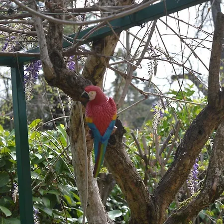 Guest house Il Giardino Nel Parco R&b