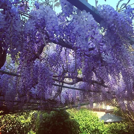 Penzion Il Giardino Nel Parco R&b