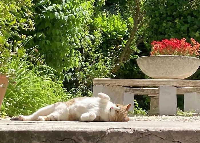 Il Giardino Nel Parco R&b Maison d'hôtes 4*