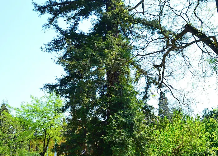 Il Giardino Nel Parco R&b 4* Bologne