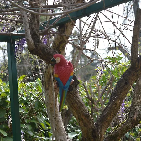 Pensionat Il Giardino Nel Parco R&b Bologna
